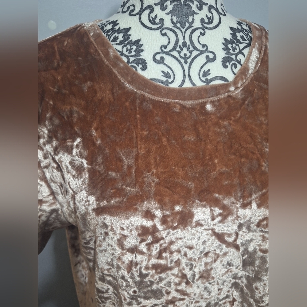 Med Velvet Brown Short Sleeve Dress - Picture 6 of 6